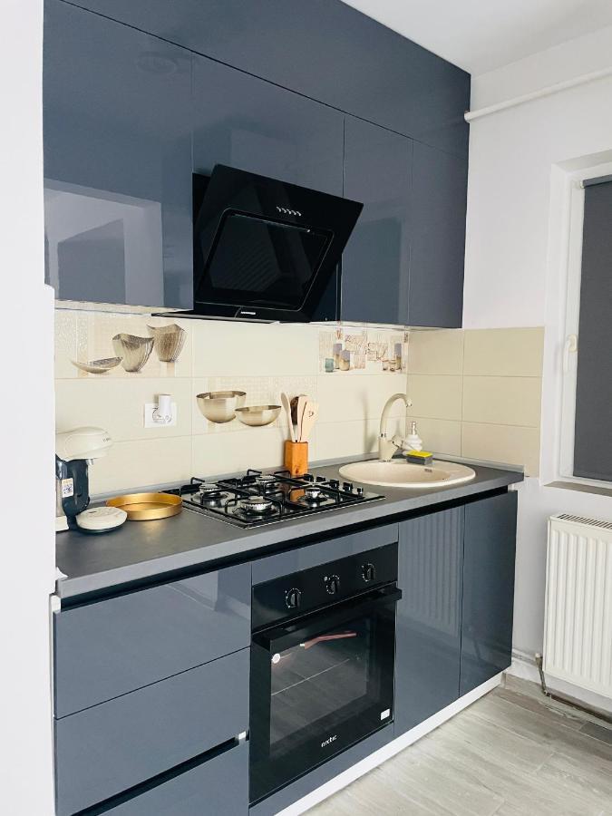 Timisoara Central Apartment New Parking !! Экстерьер фото