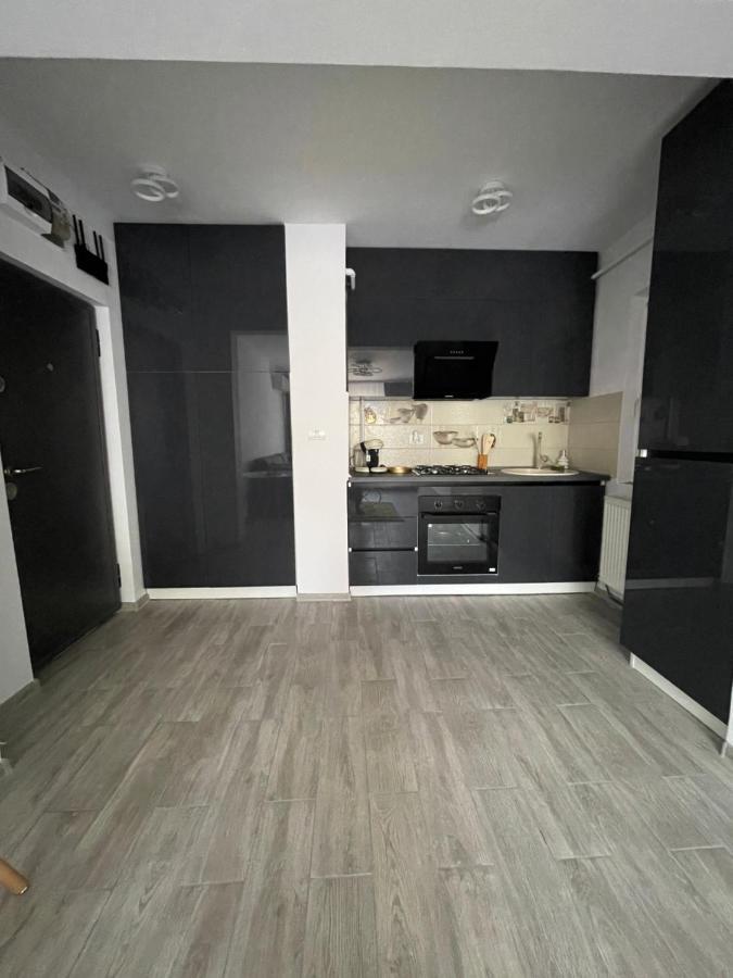 Timisoara Central Apartment New Parking !! Экстерьер фото