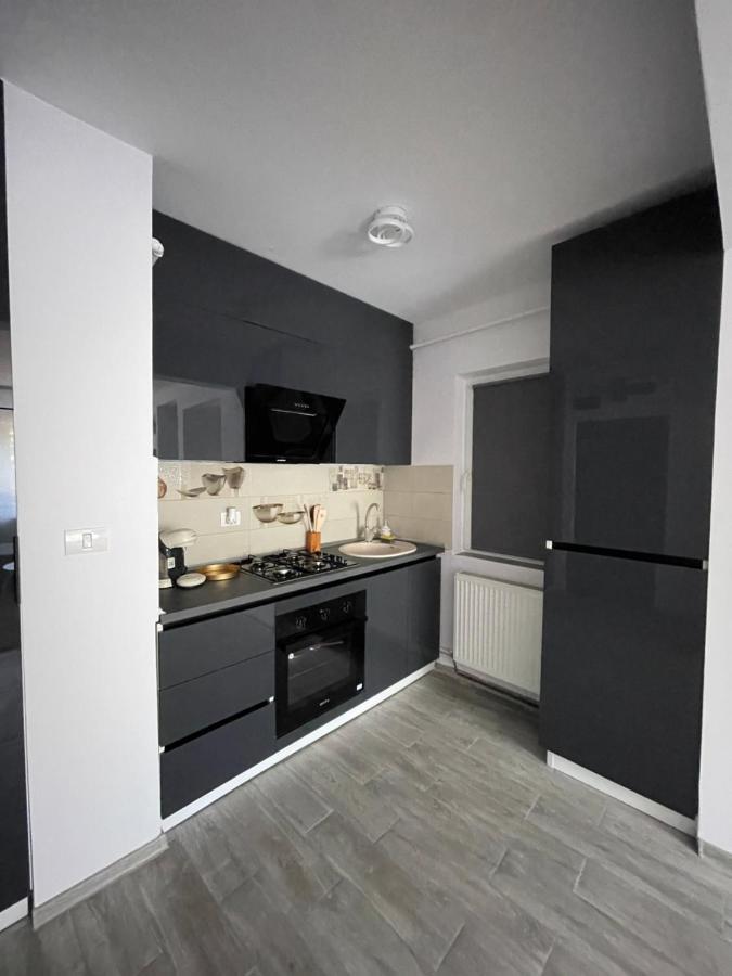 Timisoara Central Apartment New Parking !! Экстерьер фото