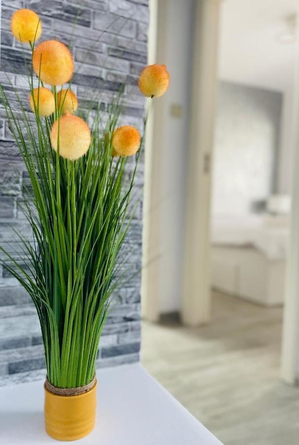 Timisoara Central Apartment New Parking !! Экстерьер фото