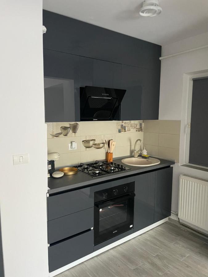 Timisoara Central Apartment New Parking !! Экстерьер фото
