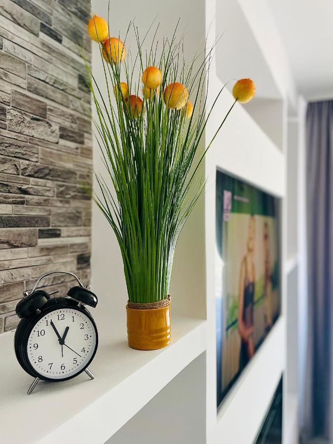 Timisoara Central Apartment New Parking !! Экстерьер фото